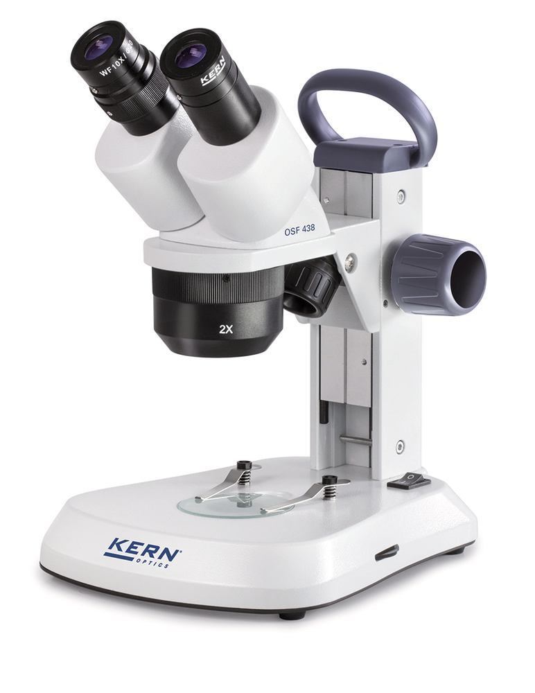 HHC9.1, Kern