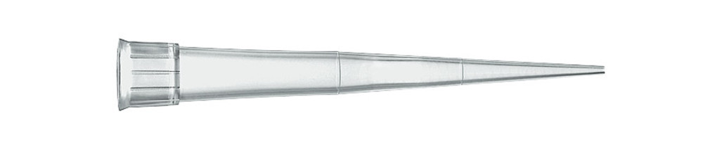 HL68.1, Brand