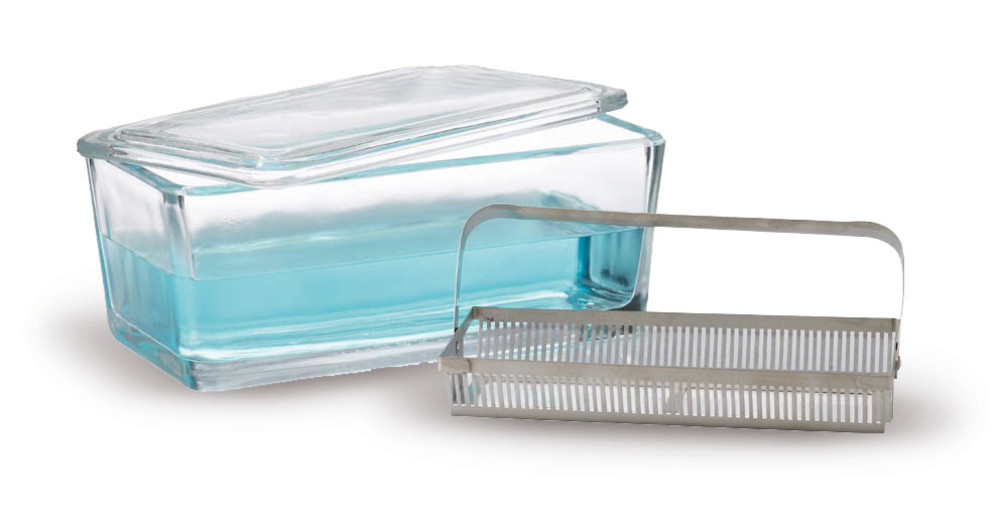 HLA2.1, Dwk Life Sciences