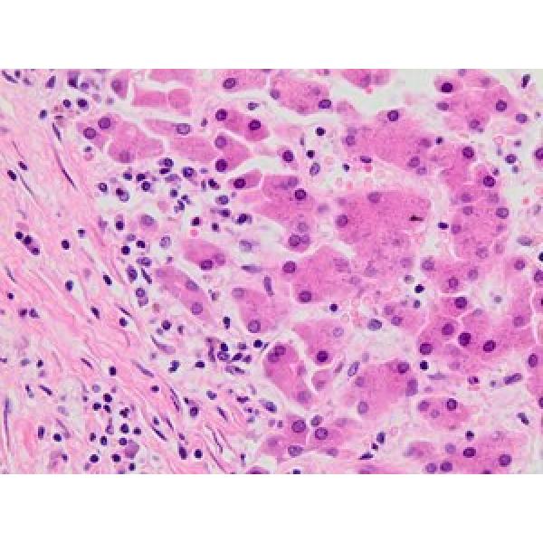 HT110116-500ML, Omnilab