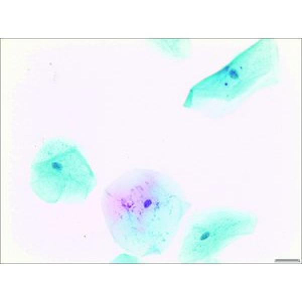 HT40316-500ML, Omnilab