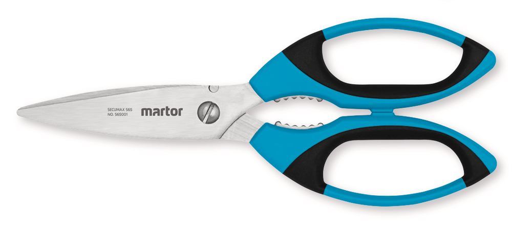 HTH0.1, Martor