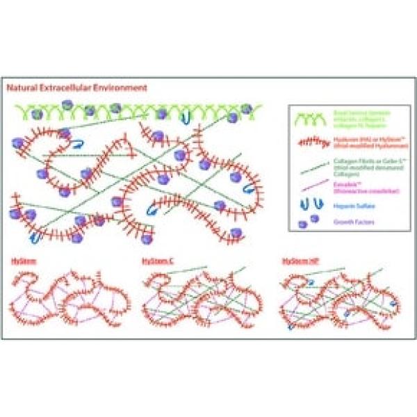HYSHP020-1KT, Omnilab
