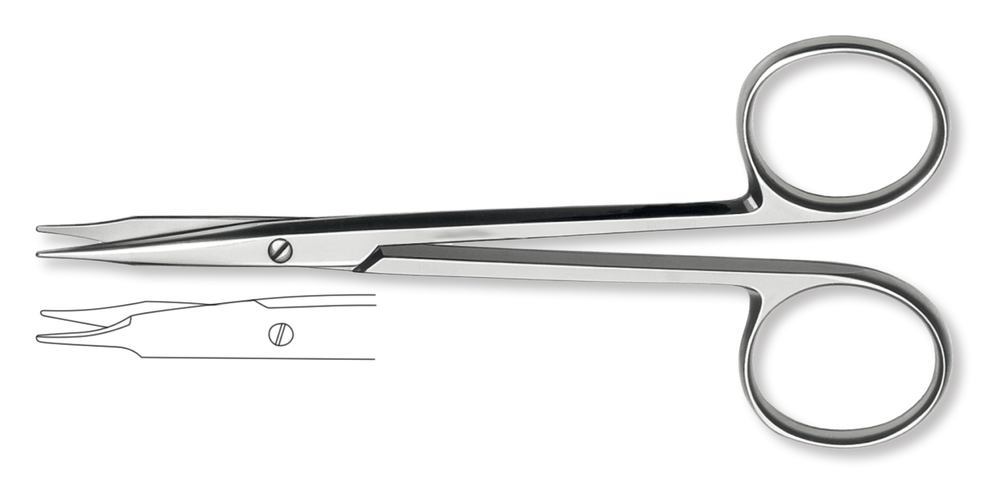 Micro and microscopy scissors