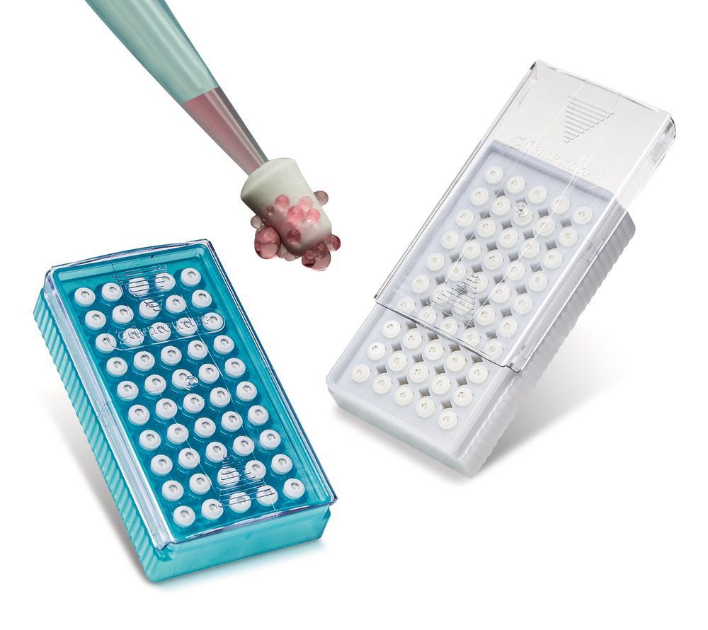 KKE4.1, Roth Selection