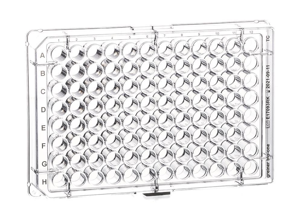 KL43.1, Greiner Bio-One