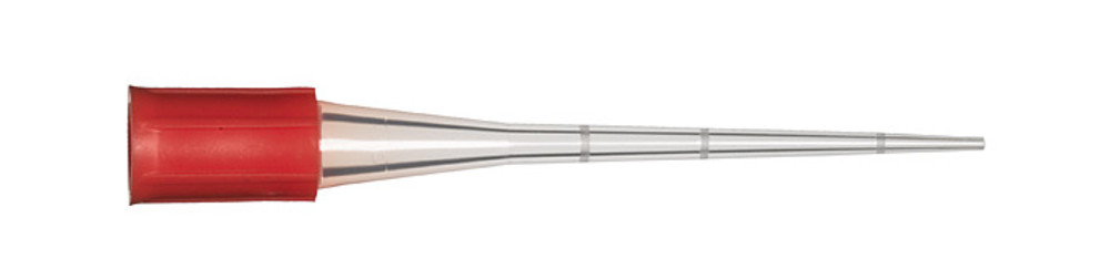 KT10.1, Sorenson