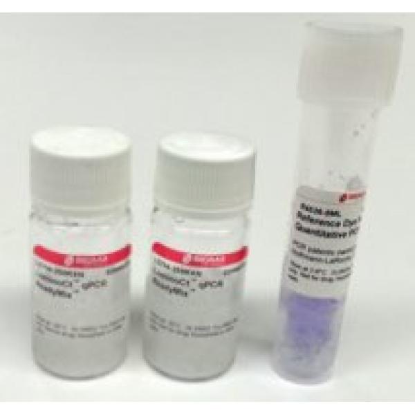 L6669-500RXN, Omnilab