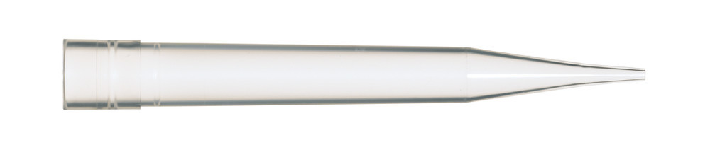 LT34.1, Roth Selection