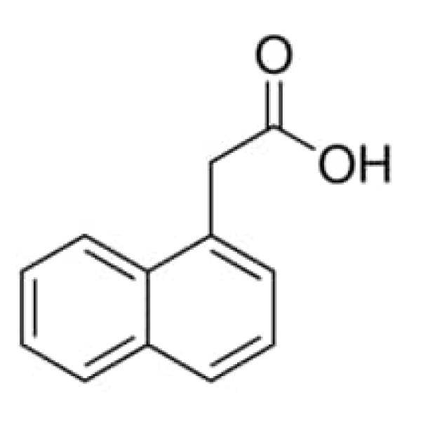 N0640-100G, Merck