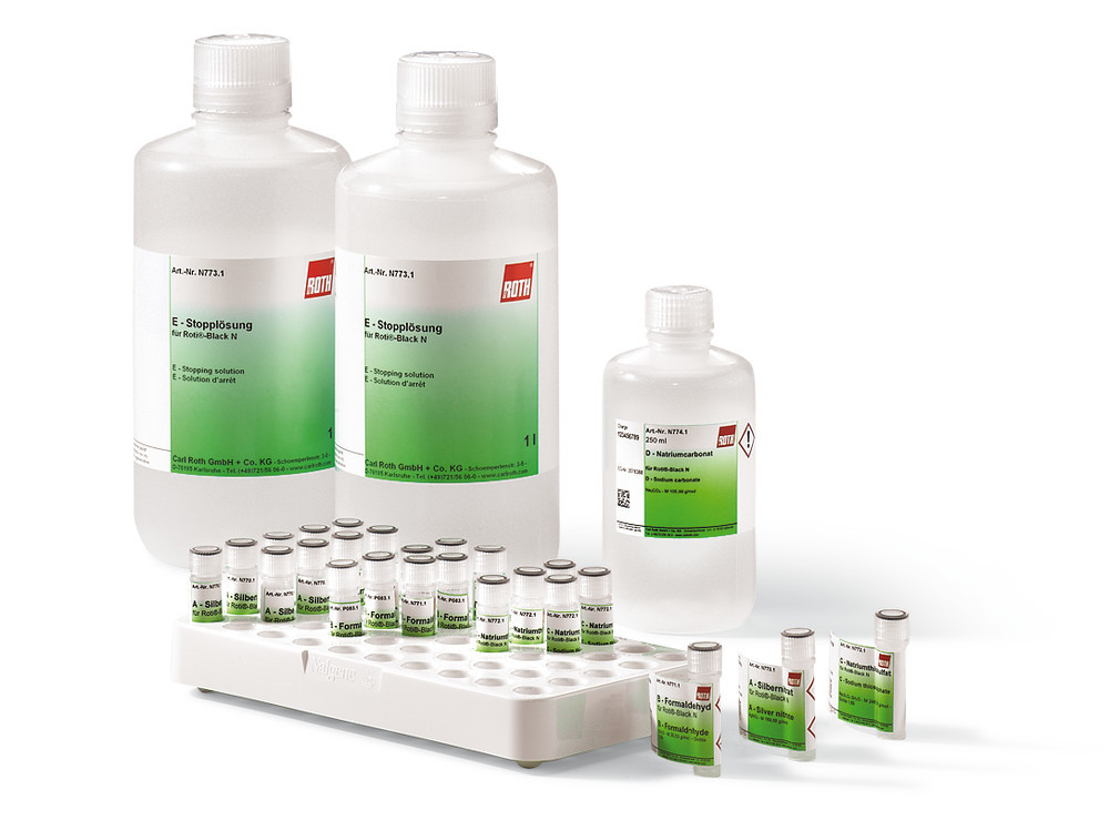 Silver and methylene blue staining