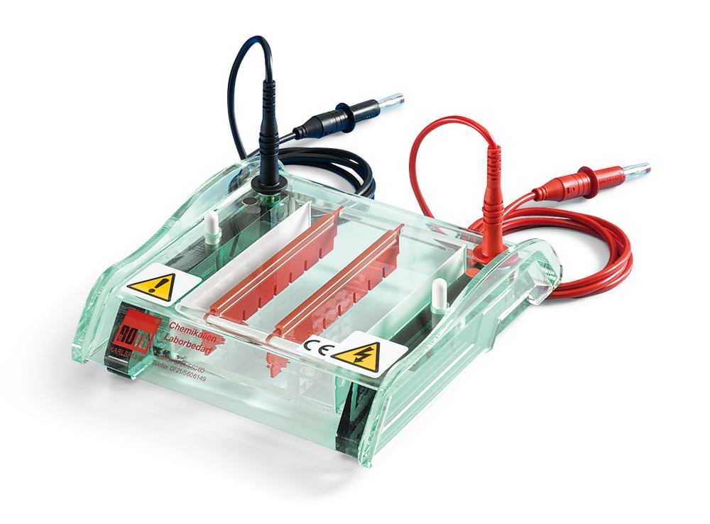 N818.1, Roth Selection