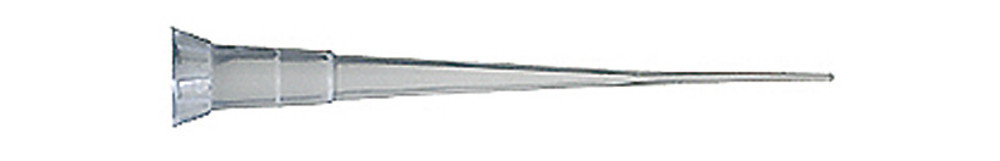 NL58.1, Sorenson