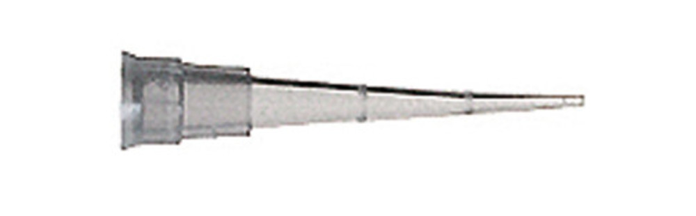 P866.1, Sorenson