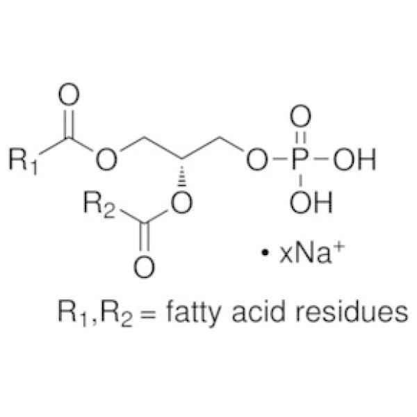 P9511-100MG, Omnilab