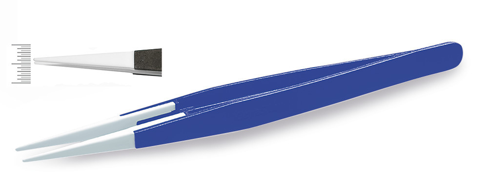 PE65.1, Roth Selection
