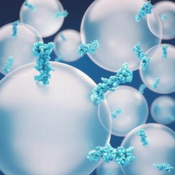 PL3867-4764, Omnilab