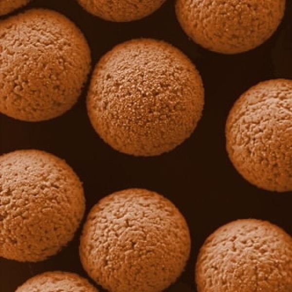 PL6727-1001, Omnilab