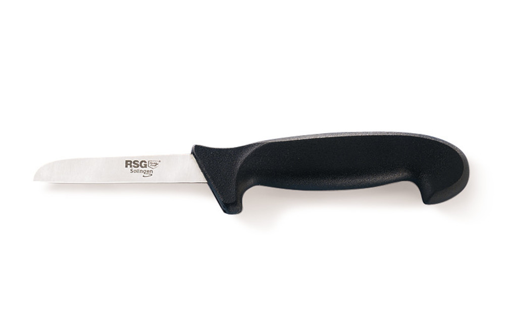 PX19.1, Rsg