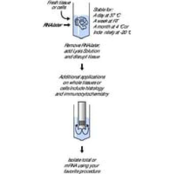 R0901-500ML, Omnilab
