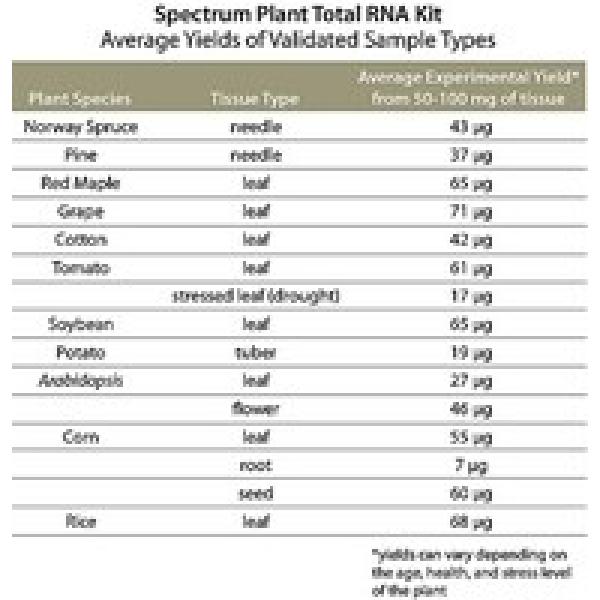 STRN250-1KT, Omnilab