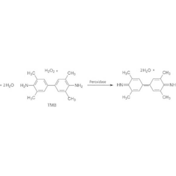 T0565-100ML, Omnilab