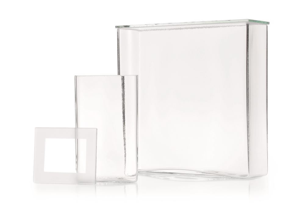 T071.1, Dwk Life Sciences