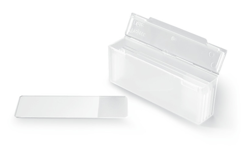 T208.1, Roth Selection