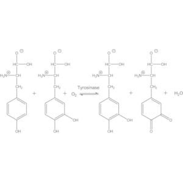 T3824-250KU, Omnilab