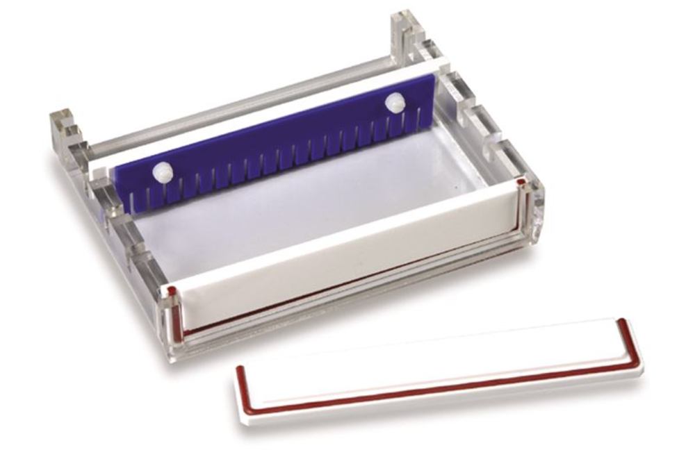 T812.1, Roth Selection