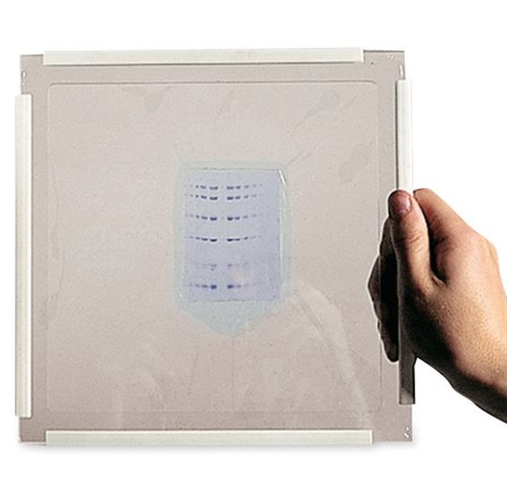 T826.1, Roth Selection