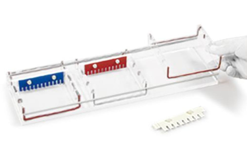 T829.1, Roth Selection