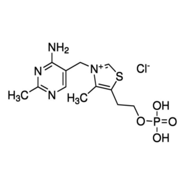 T8637-25G, Merck
