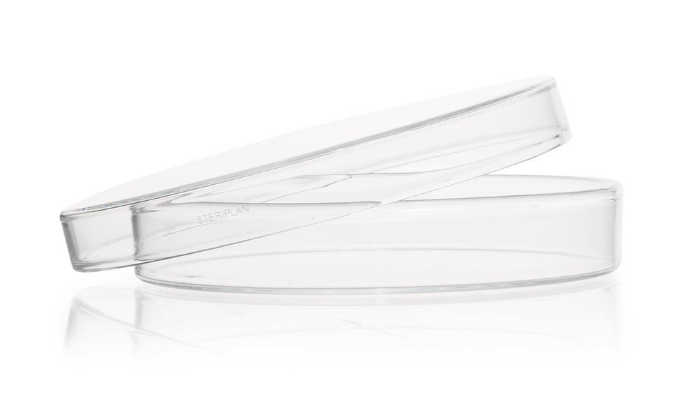 T944.1, Dwk Life Sciences