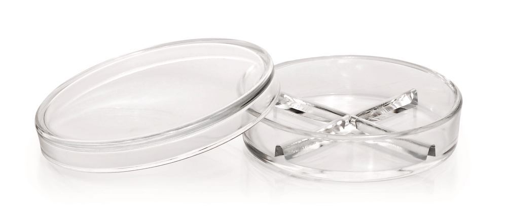 Petri dishes, sectioned