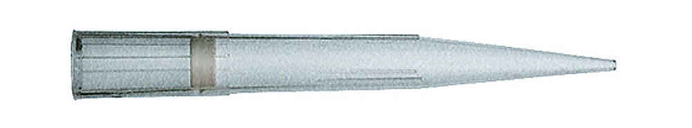 X601.1, Sorenson