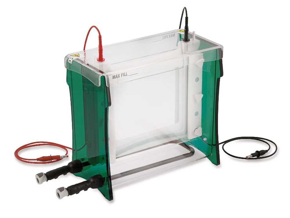 X958.1, Roth Selection