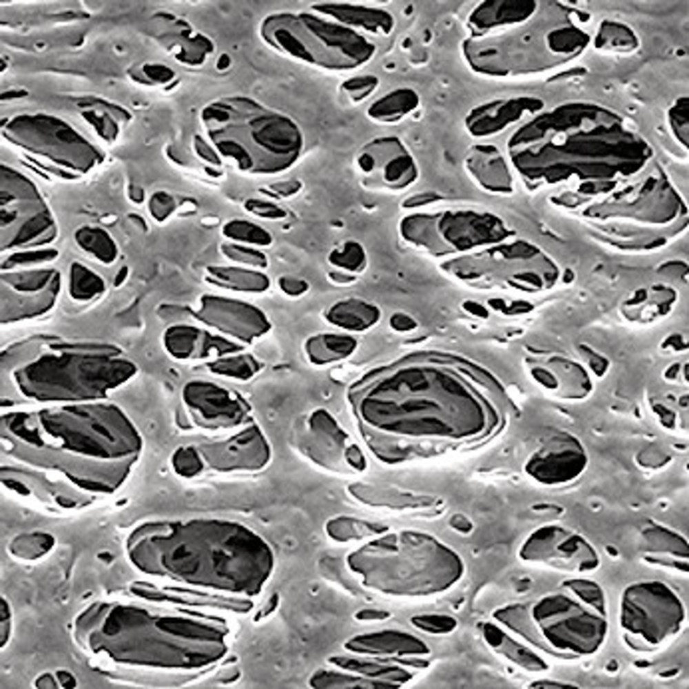 XA43.1, Merck Millipore