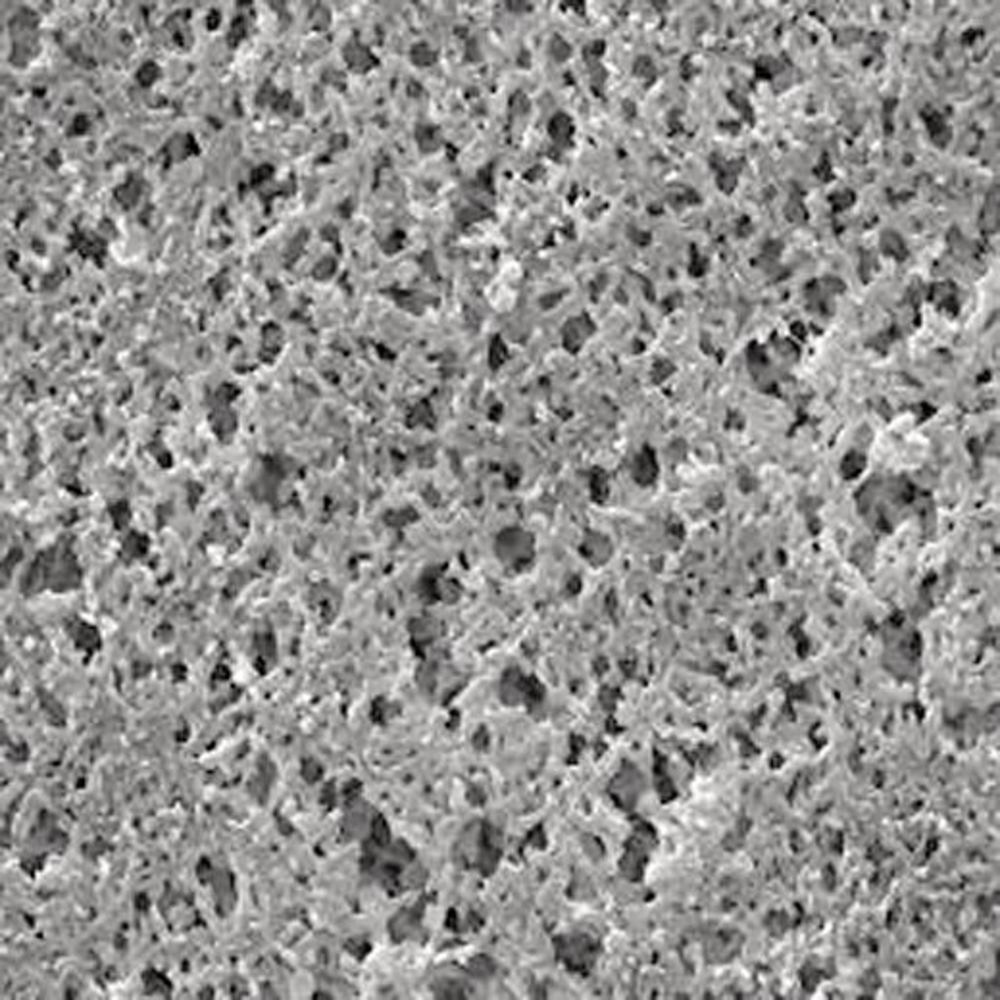 XA48.1, Merck Millipore