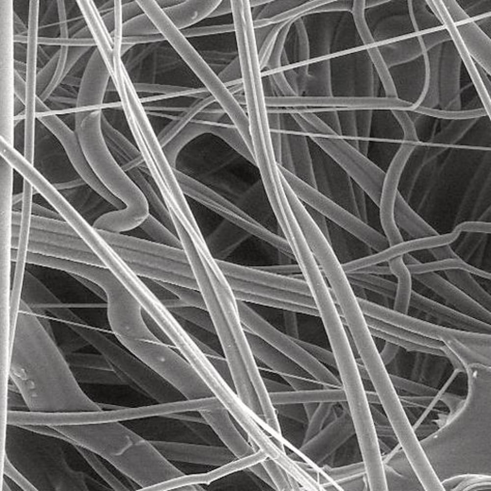 XC01.1, Merck Millipore