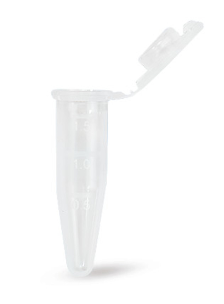 XC63.1, Roth Selection