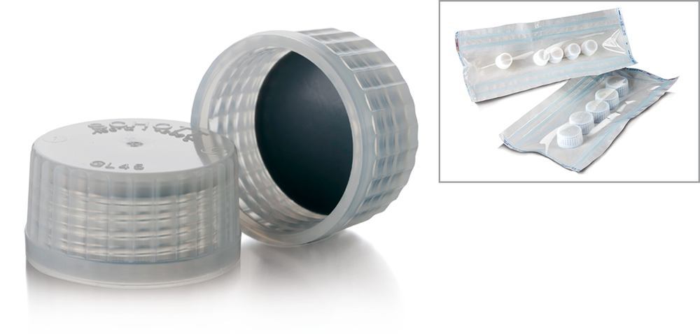 XT06.1, Dwk Life Sciences