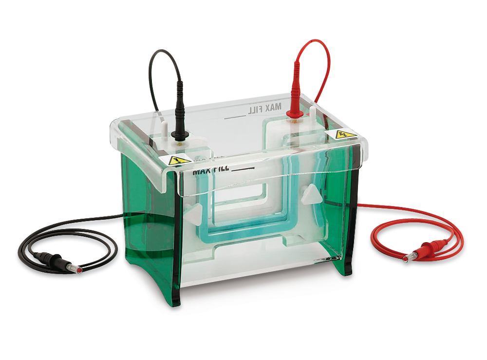 Y005.1, Roth Selection