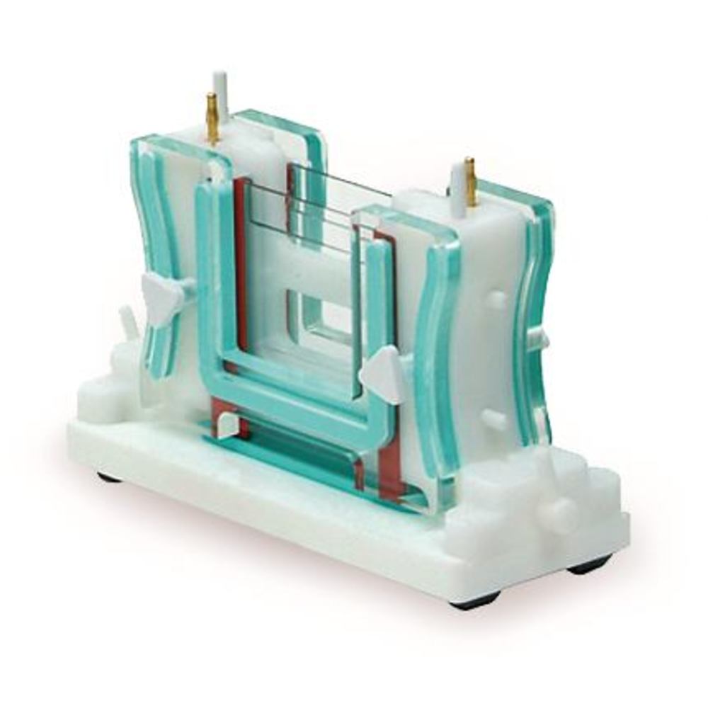 Y012.1, Roth Selection