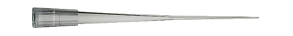 Y419.1, Sorenson