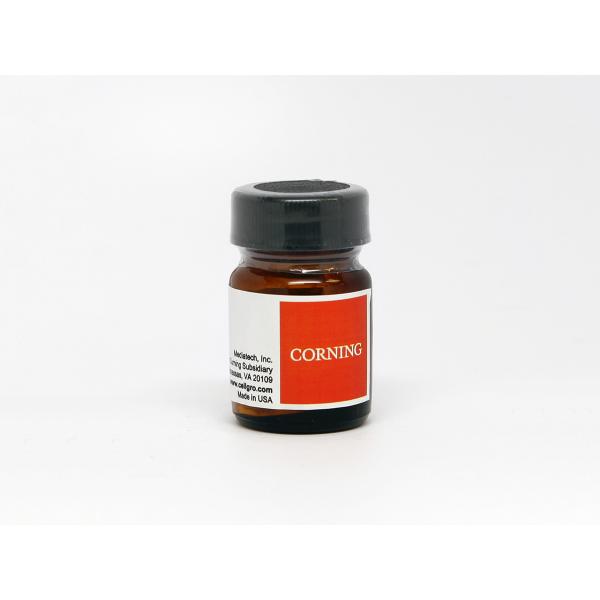 corningAmpicillinSodiumSalt, Omnilab