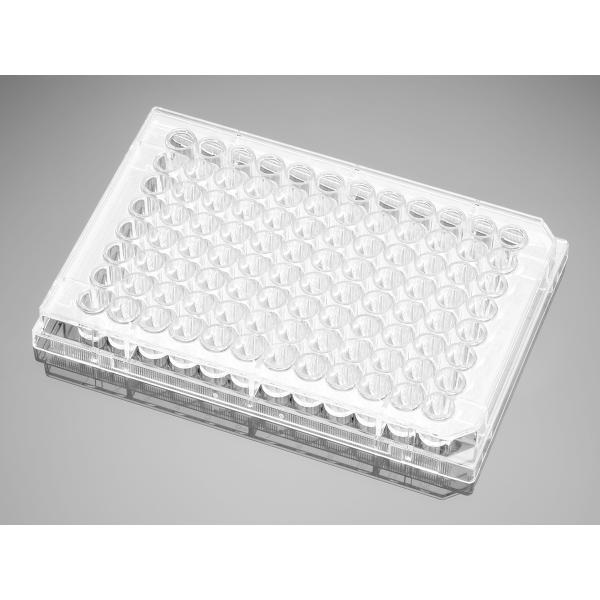 corningBioCoatPolyLLysineCoatedMicroplates, Omnilab