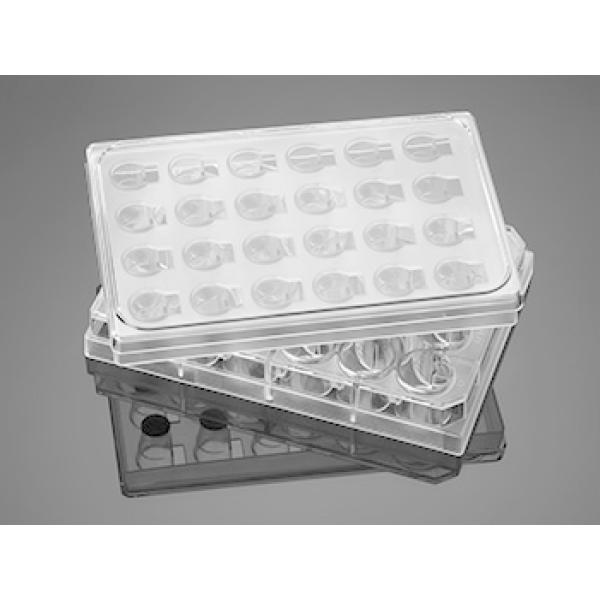 corningFluoroBlok24MultiwellInsertSystemsPETMembrane, Omnilab