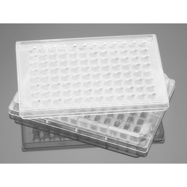 corningFluoroBlok96WellMultiwellInsertSystemsPETMembraneInsertPlate, Omnilab