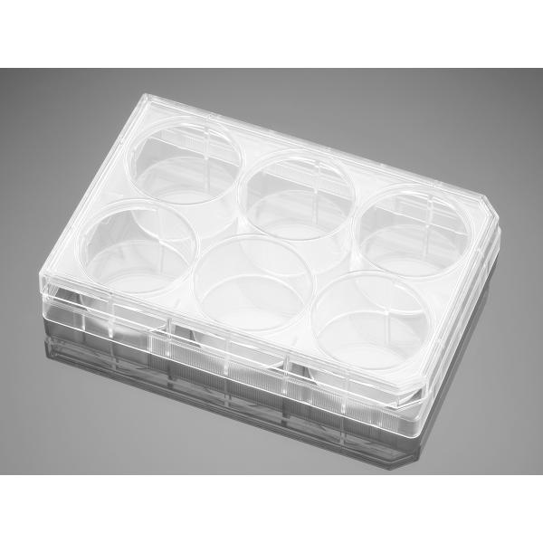 corningPureCoatECMMimeticCulturewarePlates, Omnilab